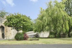 Photo 9- click for photo gallery